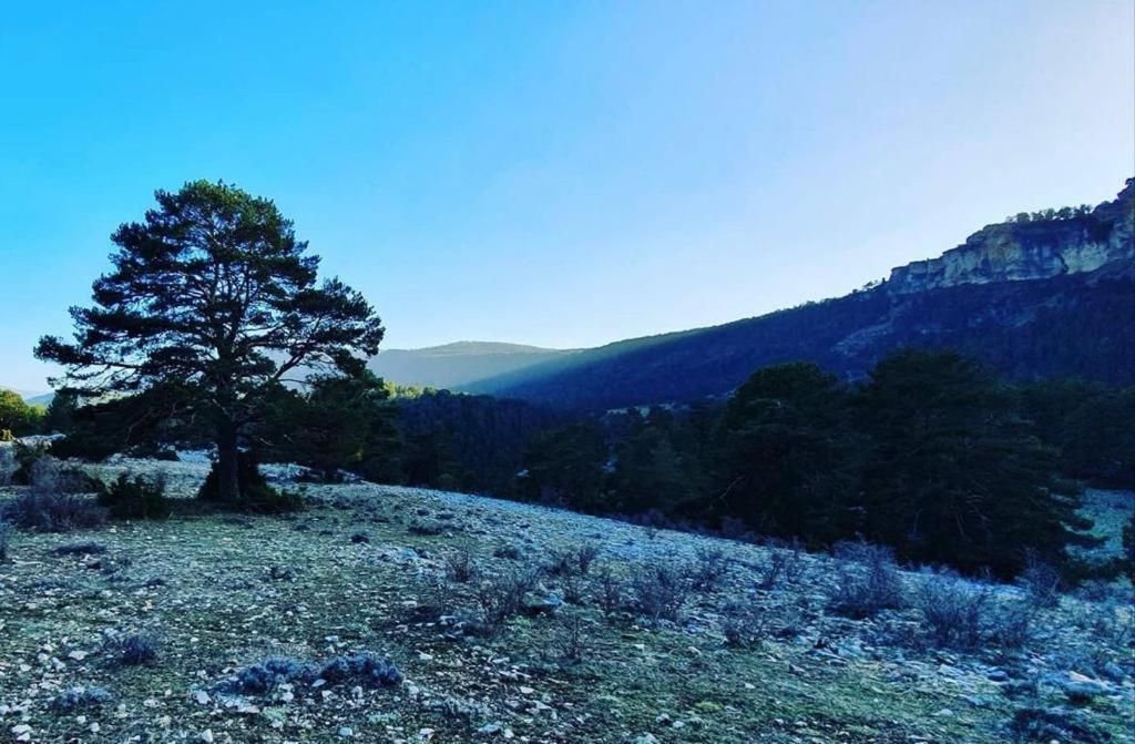 טראגאצטה Alojamiento Rural Los Hacheros מראה חיצוני תמונה