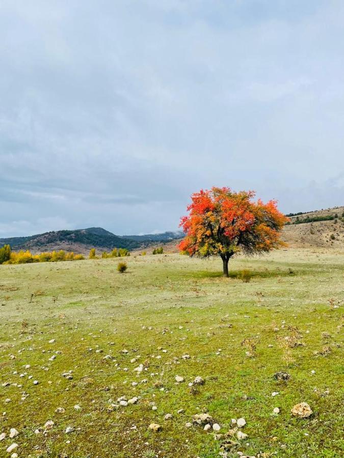 טראגאצטה Alojamiento Rural Los Hacheros מראה חיצוני תמונה